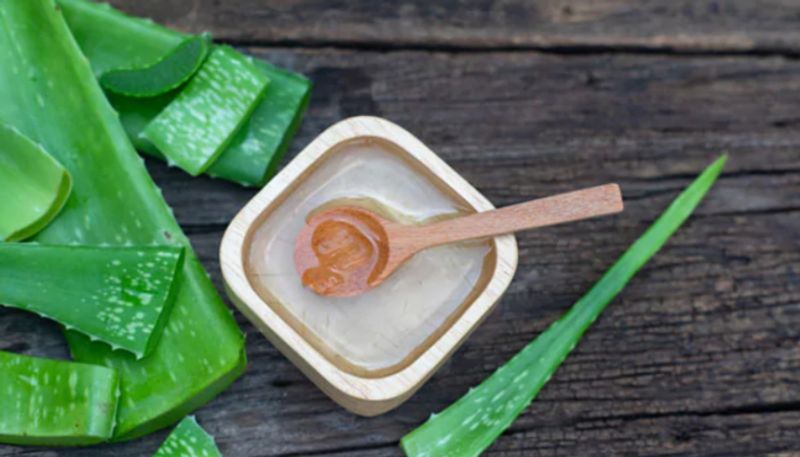 Aloe Vera Can Offer You These skin and hair care Benefits azn