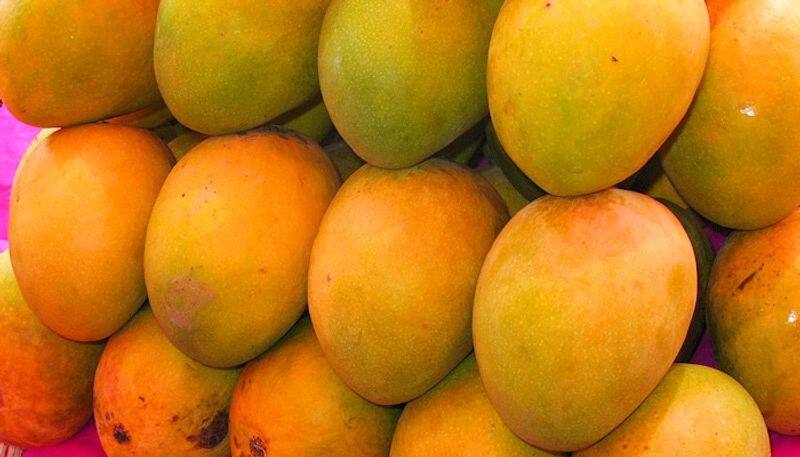 the best ways to know artificial mangoes