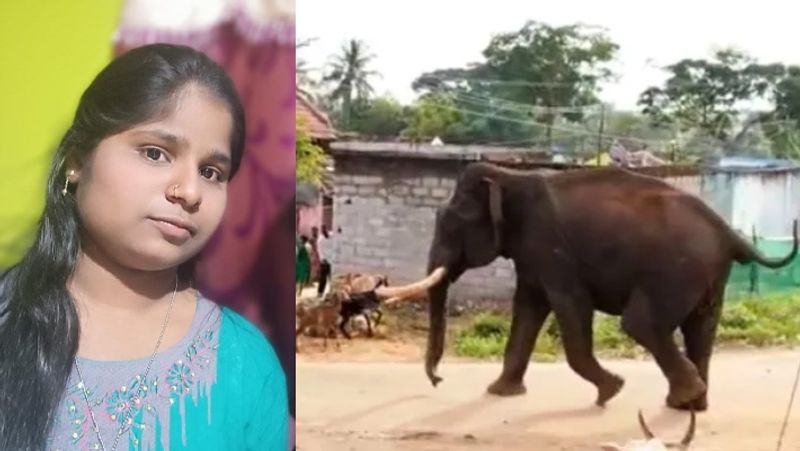 16 year girl killed in forest Elephant attack in Davangere Elephants enter village sat