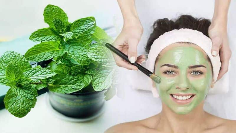 beauty tips mint leaves face pack for pimples and black marks on face in tamil mks