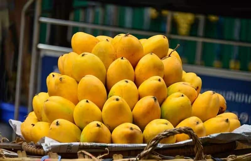 Mangoes On EMI, This Pune Trader Wants To Make Alphonso Aam Affordable Vin