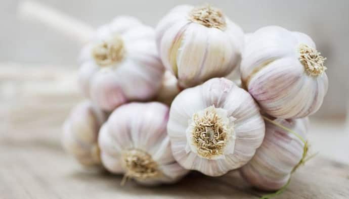 garlic