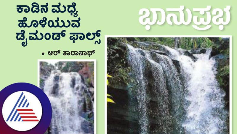 Beautiful Dimaond falls in middle of forest in Chikkamagalur Vin