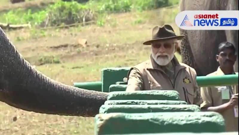 PM Modi feed food for elephants in Mudumalai