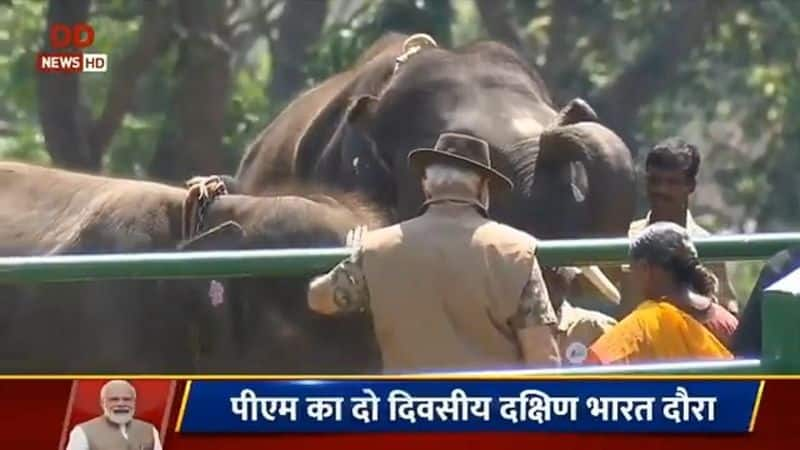 PM Modi meet Bomman and Billie who featured in Oscar winning Tamil documentary The Elephant Whisperers