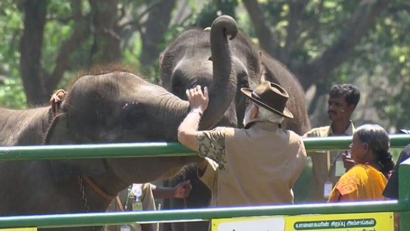 PM narendra modi met bomman and belli at mudumalai suh