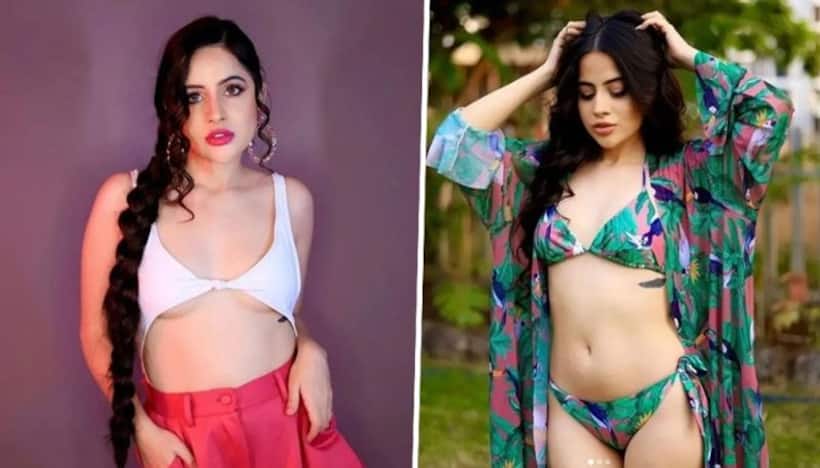 Uorfi Javed shares Instagram story after being harassed by gang of guys on flight to Goa