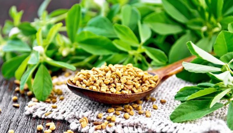 benefits of fenugreek seeds for hair 