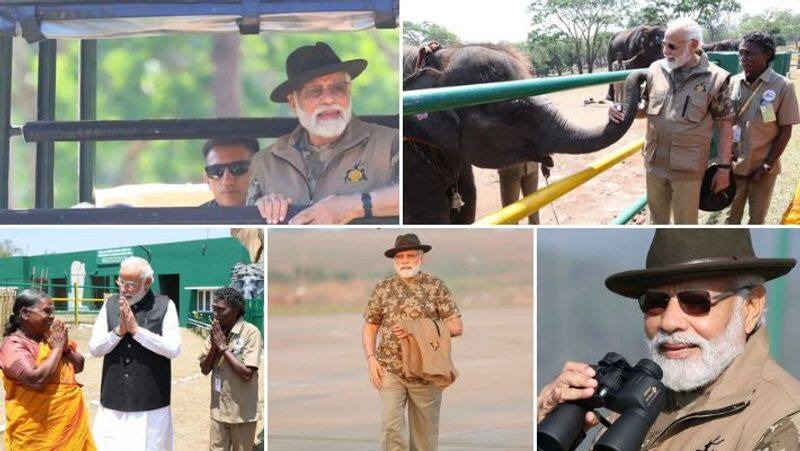 PM Narendra Modi visited Bandipur and Mudumalai Tiger Reserve