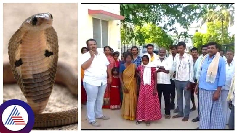 Tumakur snake bite to boy Died without telling the matter at home sat