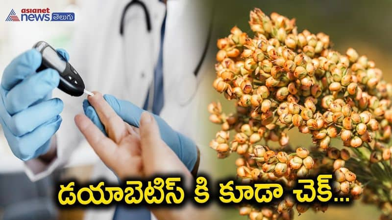 Health Benefits of finger millet aka ragulu and uses