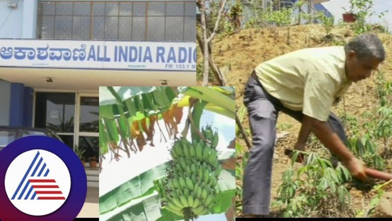 An environmentalist who planted a banana plantation on waste land  Madikeri Radio Station rav