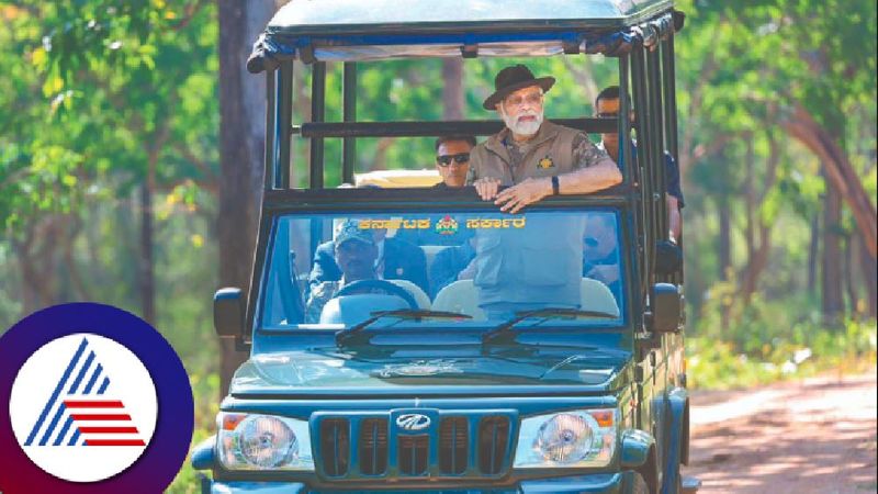 Prime Minister Modi was taking a photo when he saw the animal says Safari Jeep Driver at bandipur rav