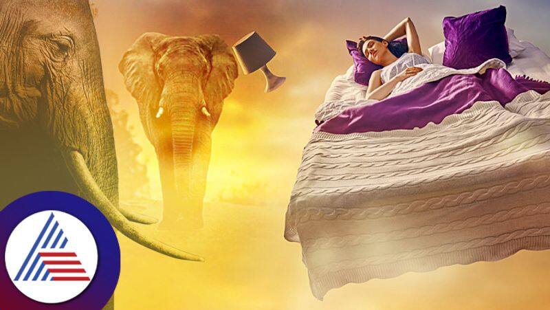 Know about Elephants dream meaning according to swapna shastra 