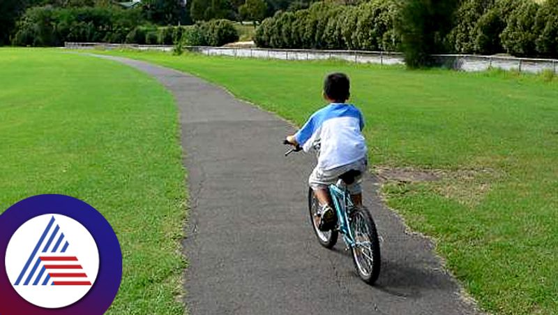 Eleven Year Old Chinese Kid Cycles Hundred Thirty Km To Grandmas House To Complain About His Mother