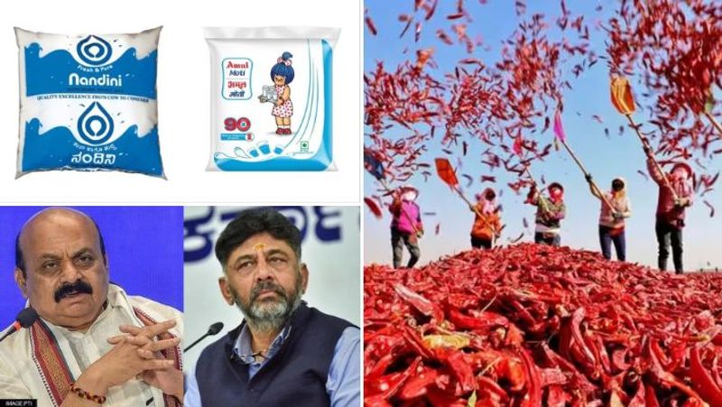 Not only Amul, Gujarat chillies also creating buzz in poll-bound Karnataka election 2023