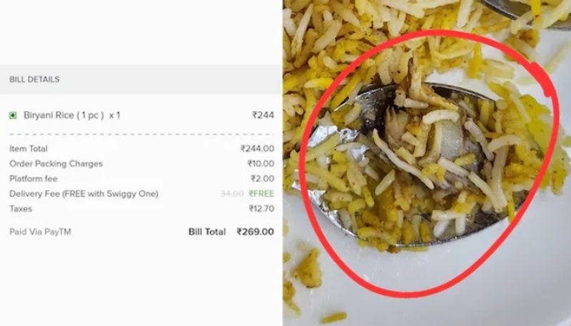 woman got meat in vegetarian food that ordered online hyp 