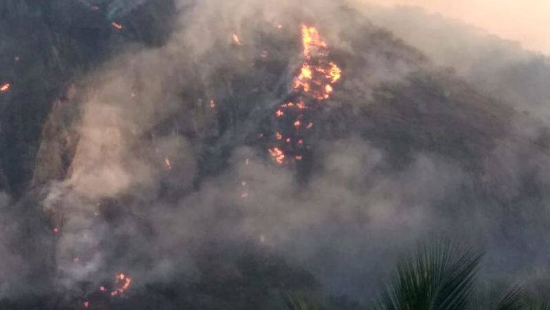 A wildfire burning in the Western Ghats! The forest department is trying to extinguish the fire on the 2nd day!