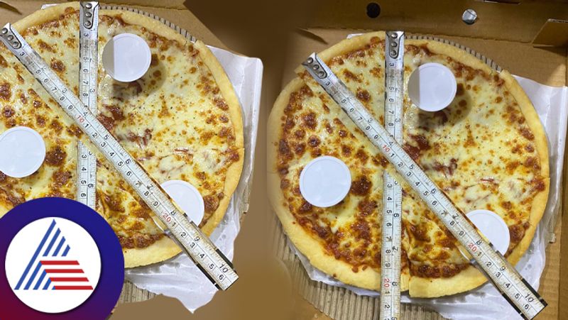 Viral Woman Gets Pizza Delivered Not Exactly What She Ordered 