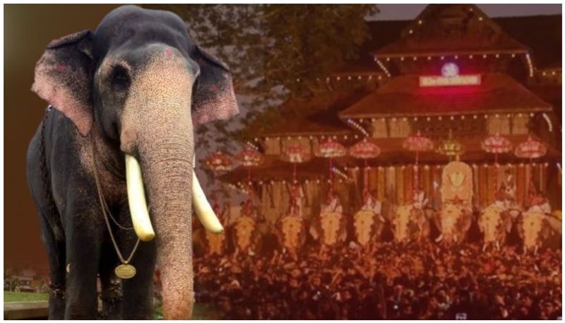 thrissur pooram vilambaram elephant Ernakulam Sivakumar to open south gate this year nbu