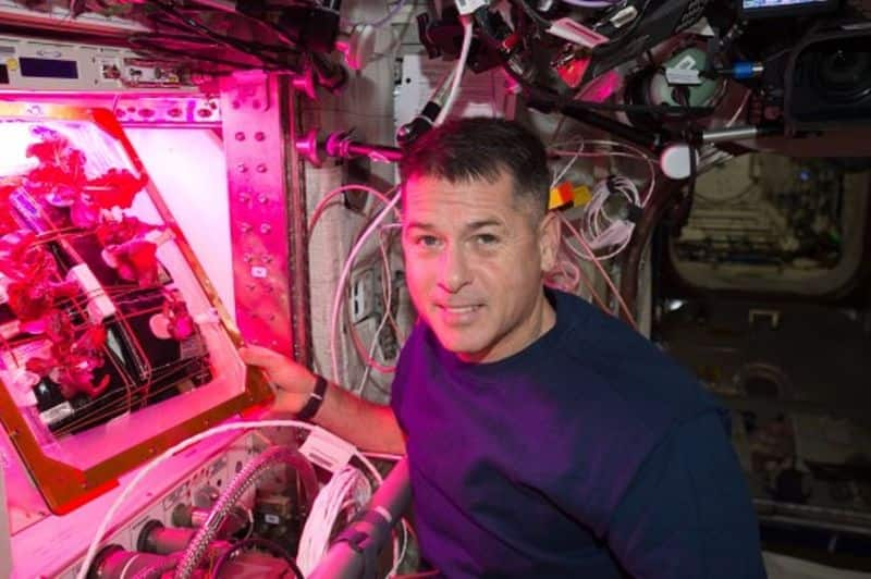 Tomatoes grown in space flying to Earth on Dragon spacecraft today