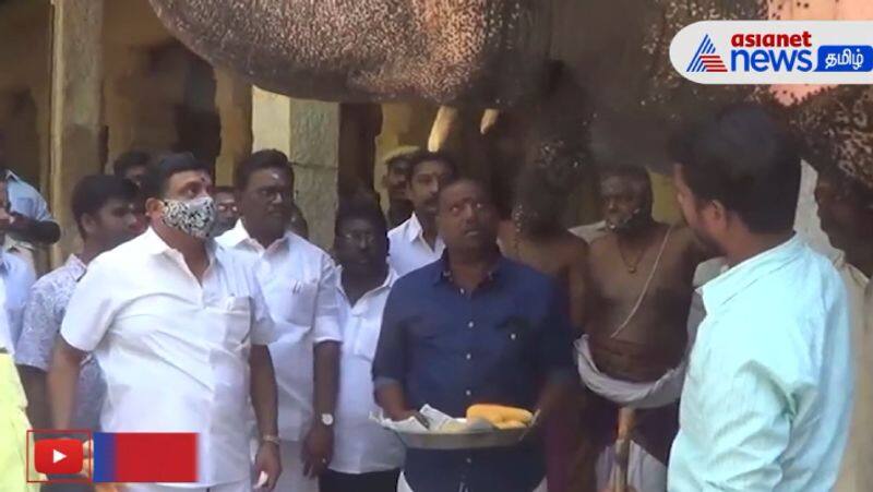 Minister PTR says about meenakshi amman temple elephant health