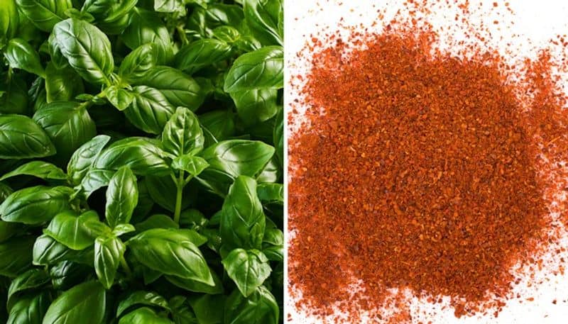 Here are three herbs to make your summers more energized vma