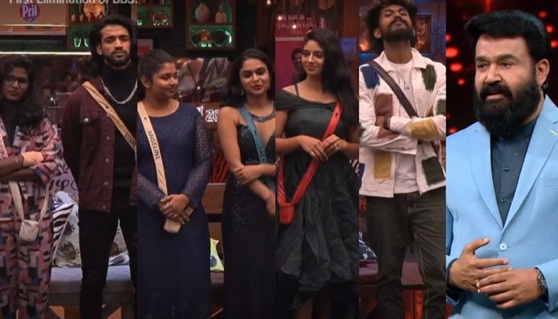 angelina eliminate in bigg boss malayalam season 5 nrn 