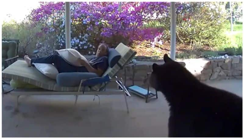 viral video of While sitting outside the house  he was shocked to see a guest bkg