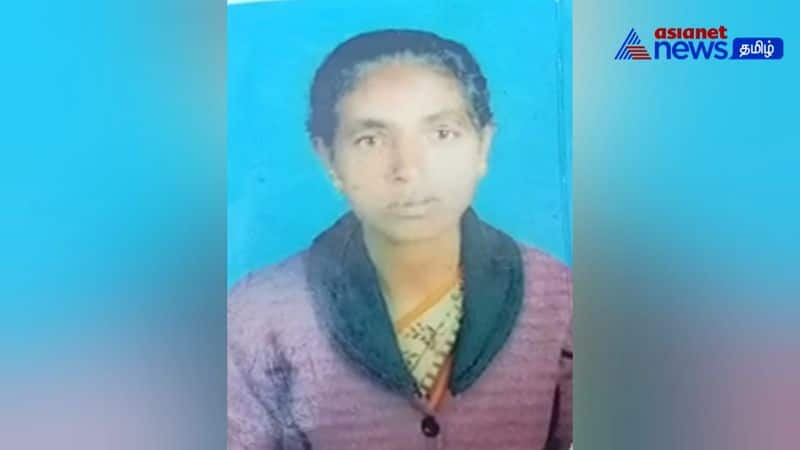 woman killed road accident in nilgiris district