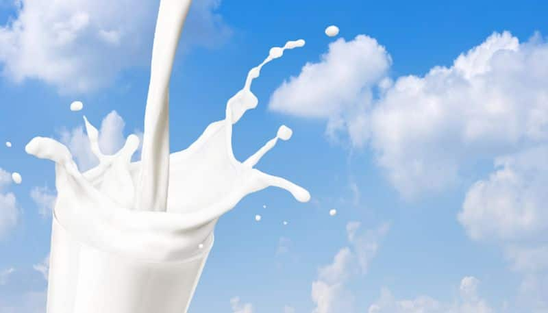 This is the Real reason why milk is always white in colour Vin