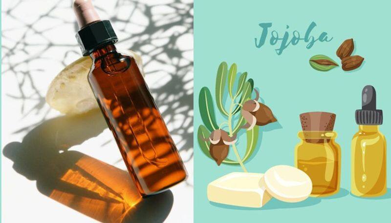 Here are three skincare benefits of using Jojoba oil daily vma