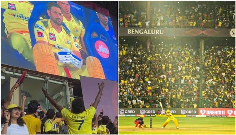 watch videos csk fans at chinnaswamy stadium with dhoni chants saa