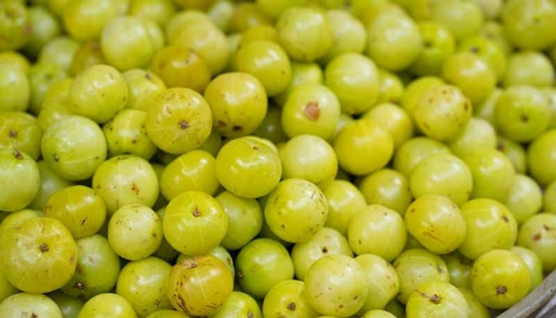 Health Tips Tamil : What Happens When You Eat Amla Every Day Rya