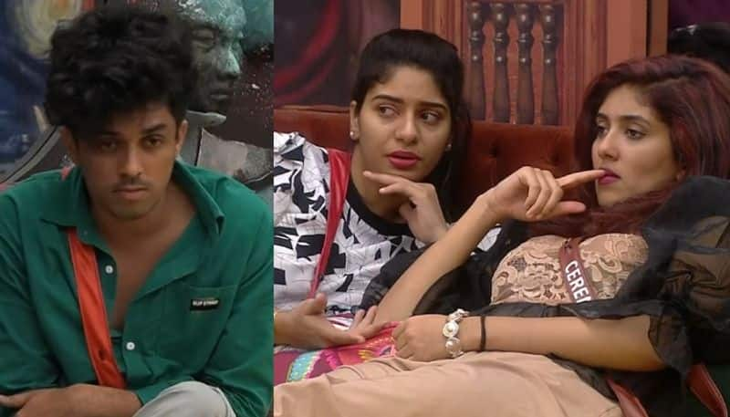 reneesha tells about love strategy of sagar surya to cerena in bigg boss malayalam season 5 nsn