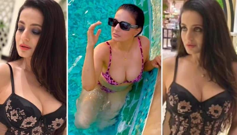 Ameesha Patel SEXY photos, video: Gadar actress flaunts cleavage in corset and bikini- see here RBA