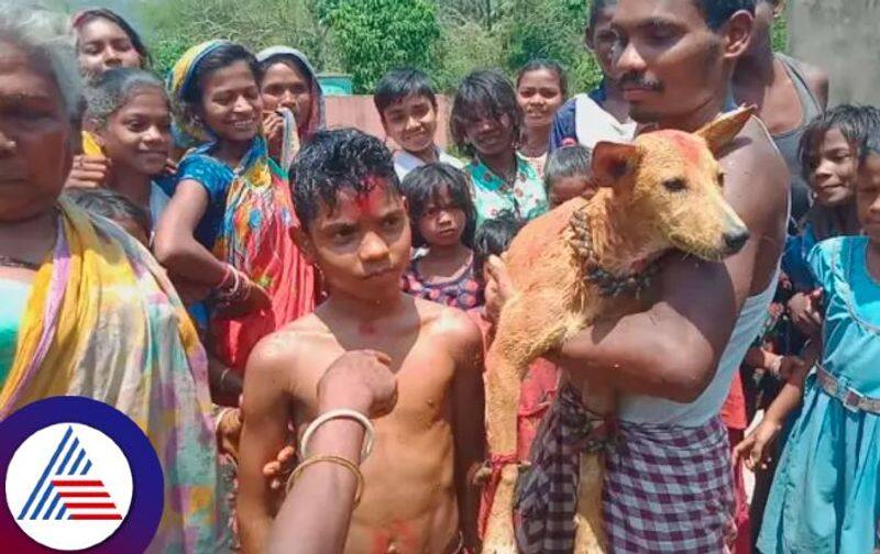 Odisha minors married to dogs to ward off Evil spirits Vin