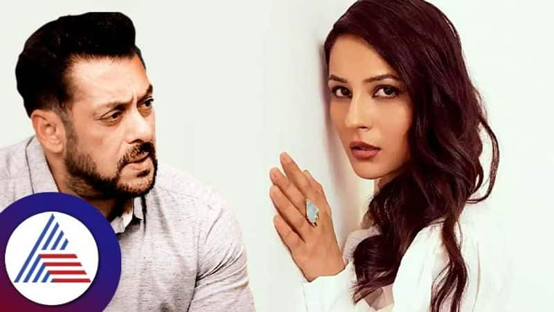 Shehnaaz Gill allegedly caught while stalking Salman Khan from  fake  Instagram account