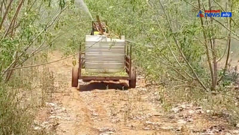 Moringa tree pest attack! - Farmers who invented an automatic machine to spray medicine!