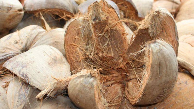 Coconut Husk benefits tamil