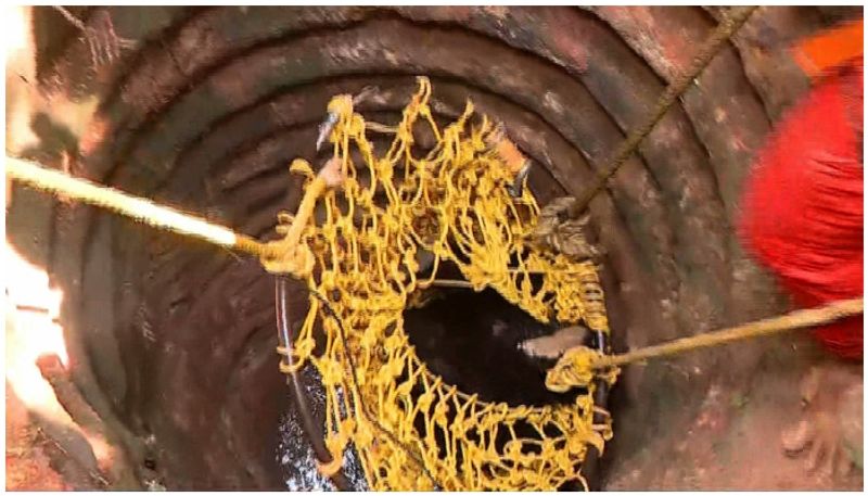 Kerala: Bear trapped in well drowns while being rescued by forest department staff