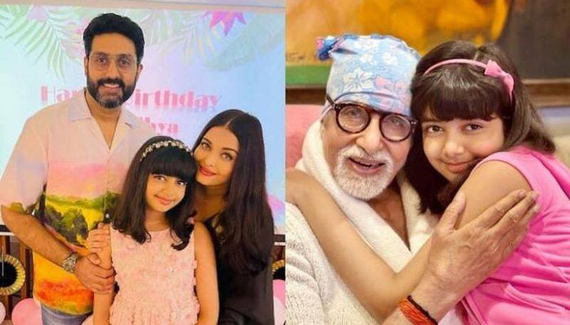 Delhi HC Restrains Youtube Channel from Publishing fake Content on Aaradhya Bachchan Health NSK