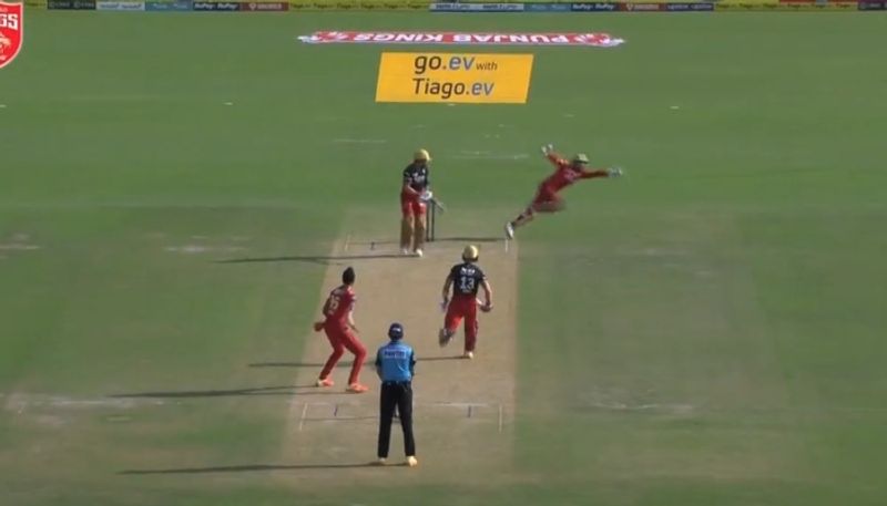 Watch Jitesh Sharma takes wonder catch to dismiss Virat Kohli gkc