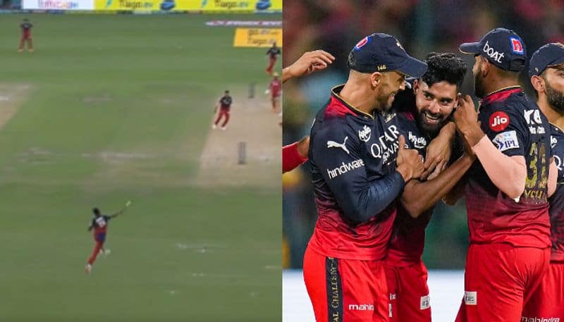 Watch Mohammed Siraj CR7 Siiuuu celebration after stunning throw to dismiss Harpreet Singh Bhatia in PBKS vs RCB match jje