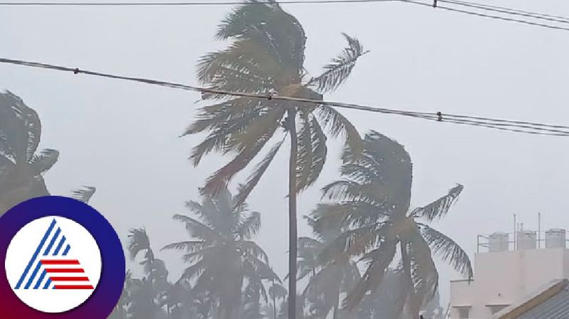 Rainfal with Thunderstorm in Chikkamagalur at chikkamagaluru today rav