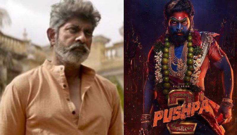 Jagapathi Babu Confirms his entry in Pushpa 2 The Rule NSK