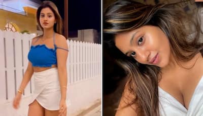 Anjali Arora HOT Photos: Actress flaunts luscious body in sizzling outfits