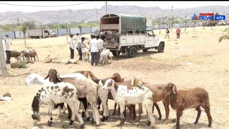 Karnataka Election 2023: Political leaders wooing voters with non-veg lunch demand for mutton increased a lot