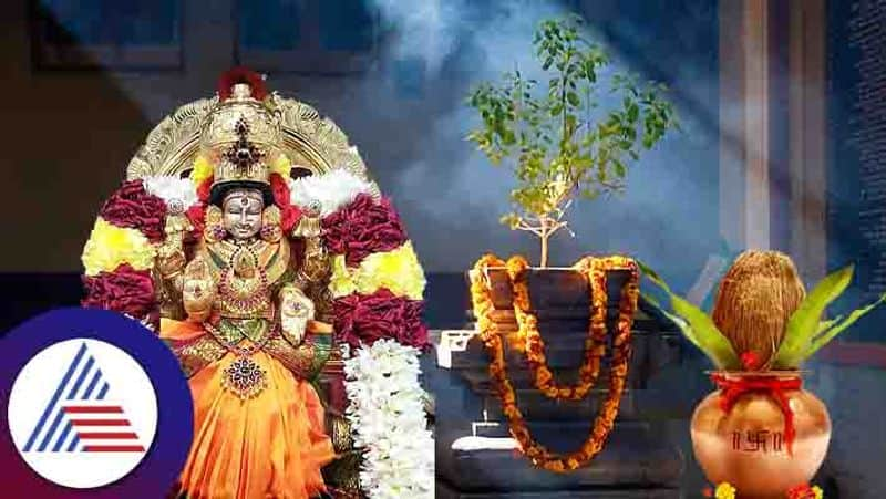 Tulasi astro remedies to bring luck to home 