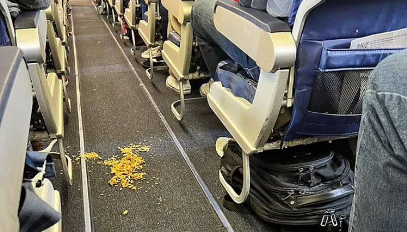 food waste spilled in aisle of flight airhostess demand responsible passenger to clean the mess etj